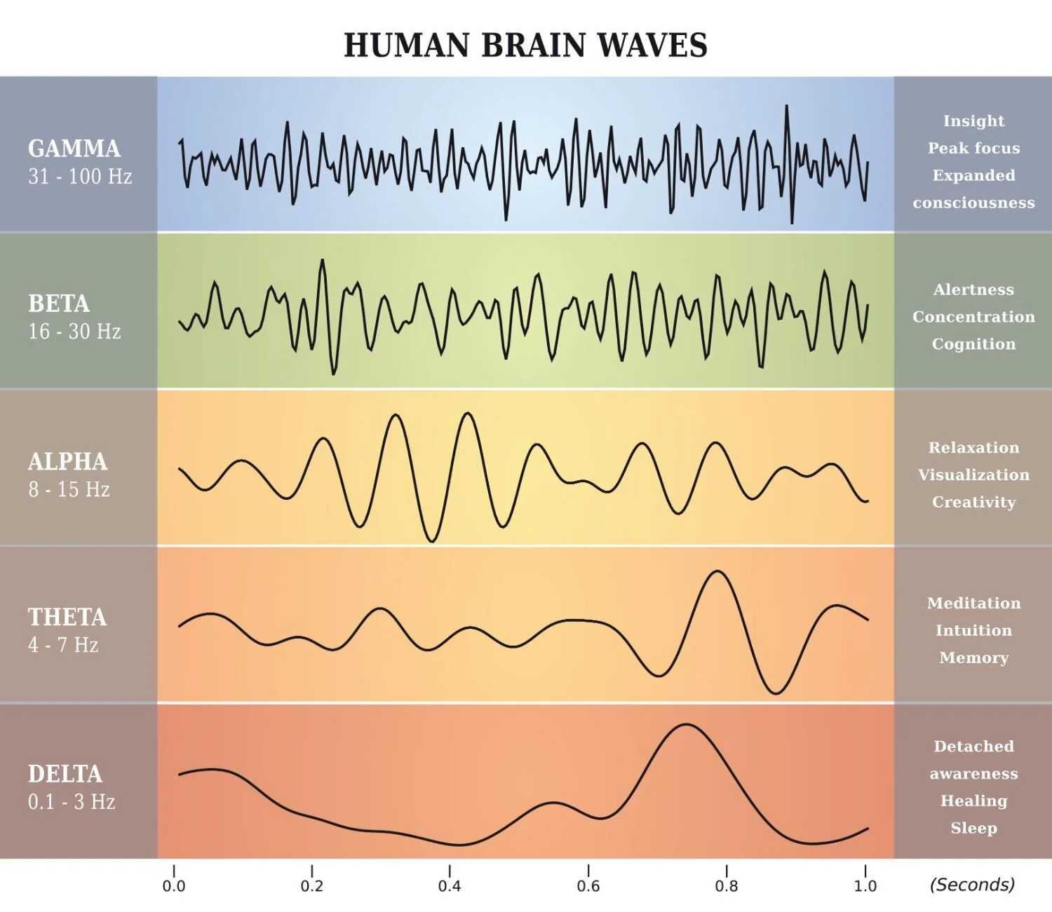 Brainwave activity visualized during a neurofeedback session